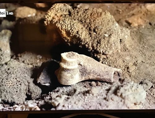 Neanderthal: l’enigma della sua scomparsa