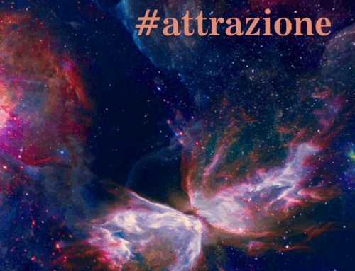 UniNews TorVergata #11 Attrazione